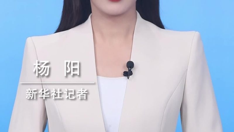 科技公司VS互联网公司：工作环境与职业发展的差异